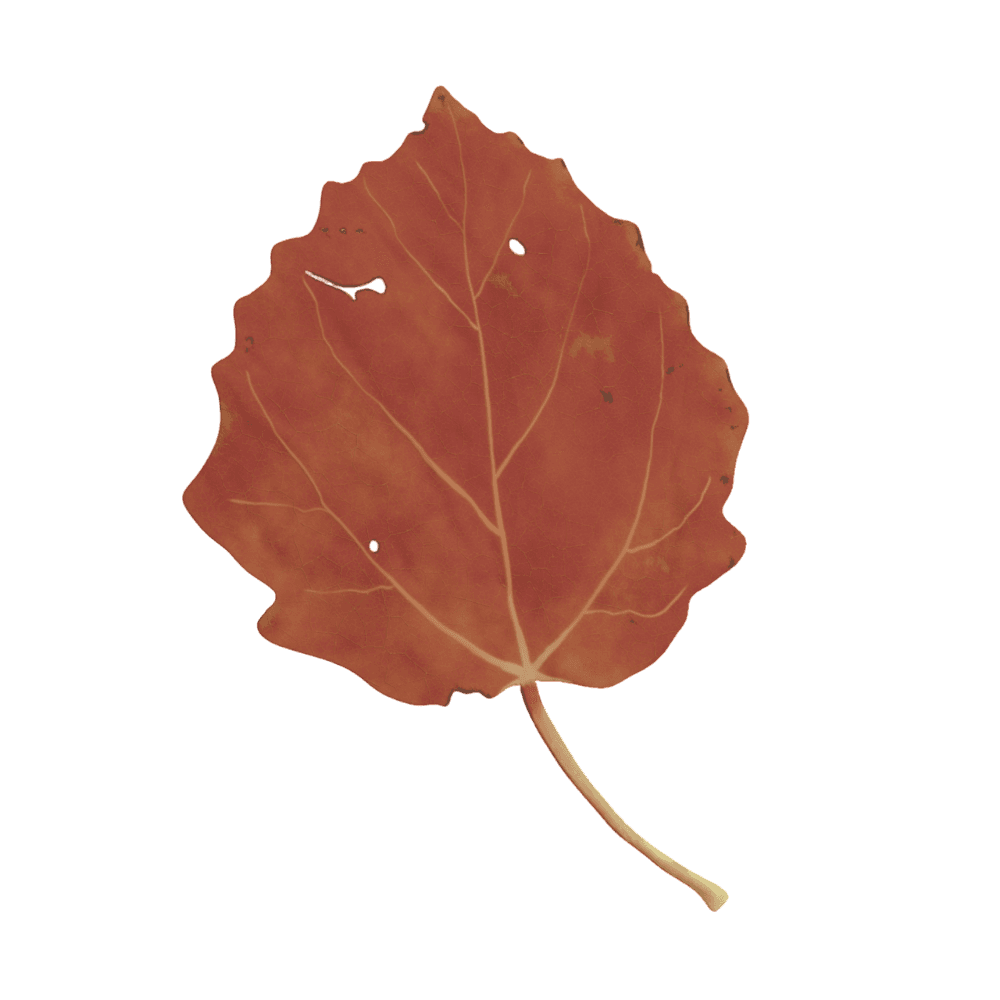 Leaf decoration